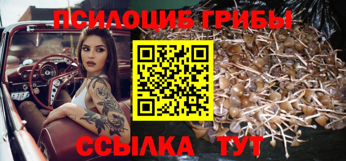 Псилоцибиновые грибы MAGIC MUSHROOMS Можайск