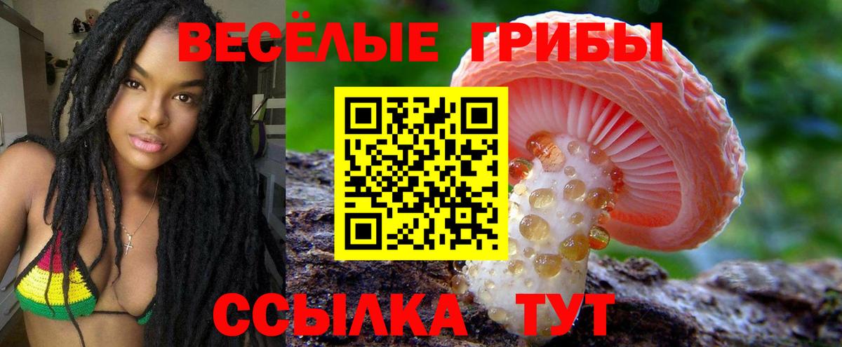 Галлюциногенные грибы Magic Shrooms  Вход с VPN  закладки  Можайск 